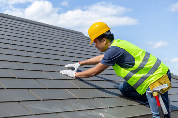 Best Roof Gutter Cleaning  in Madison, SD