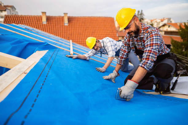 Best Metal Roofing Contractor  in Madison, SD